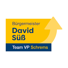 Team VP Schrems